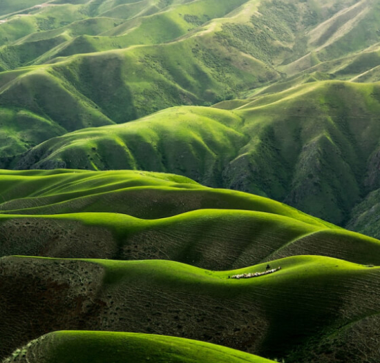 Land